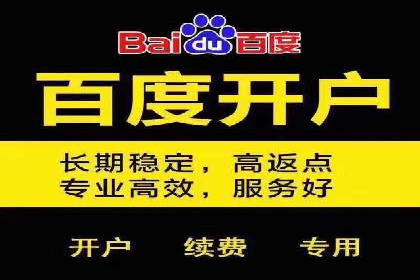 竞价广告的魔力：看XX公司如何逆袭市场